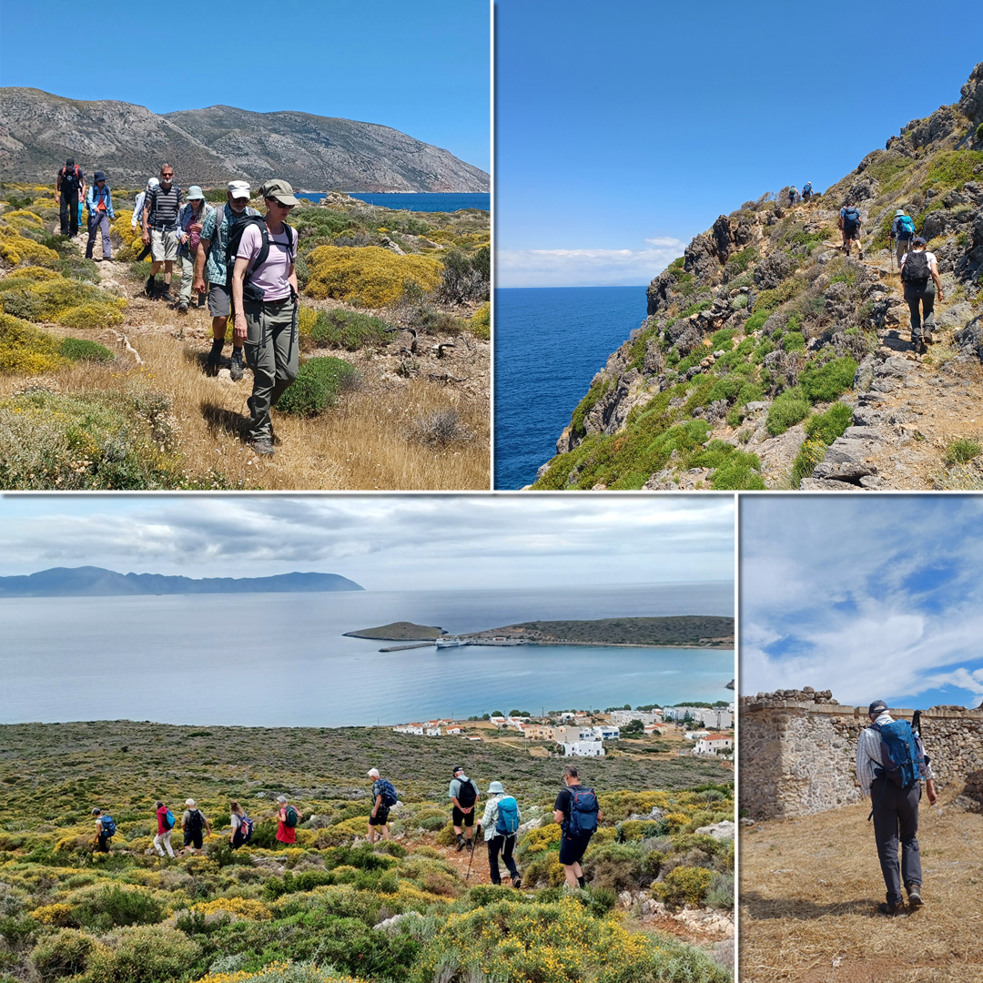 Kythira Wanderer